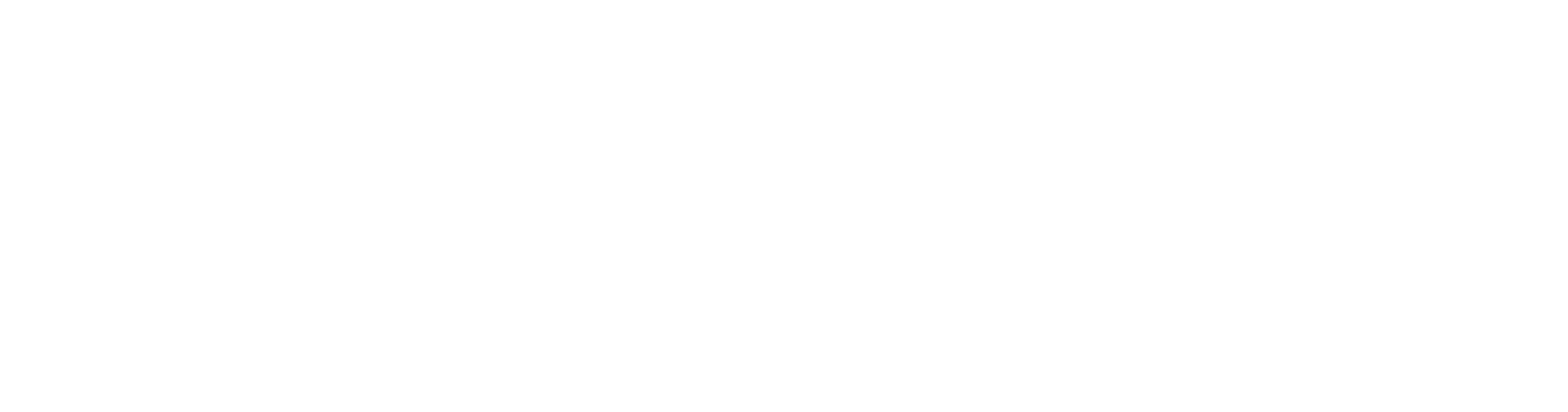 ELECSIS LOGO BLANCO